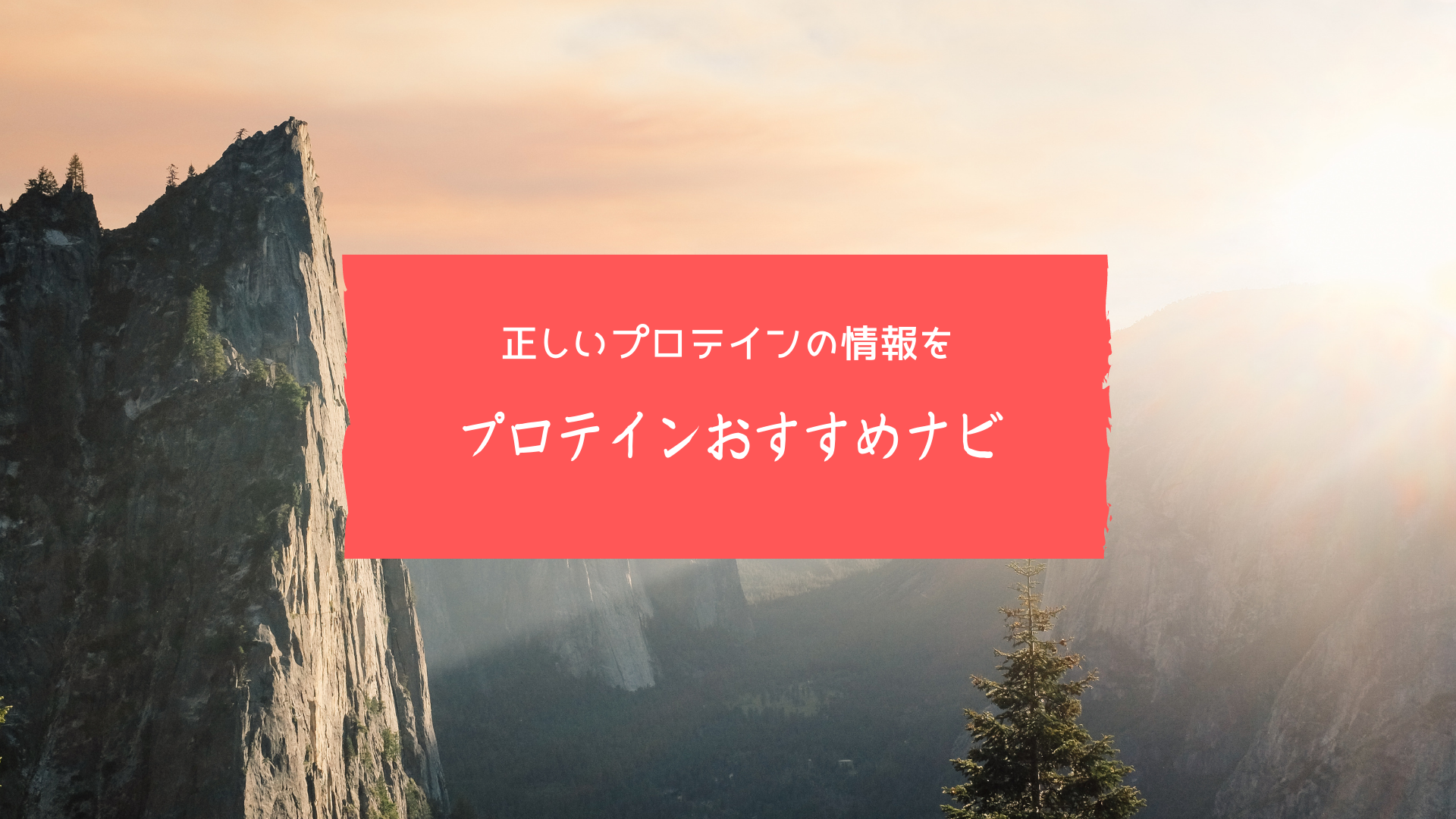 プロテインおすすめナビ